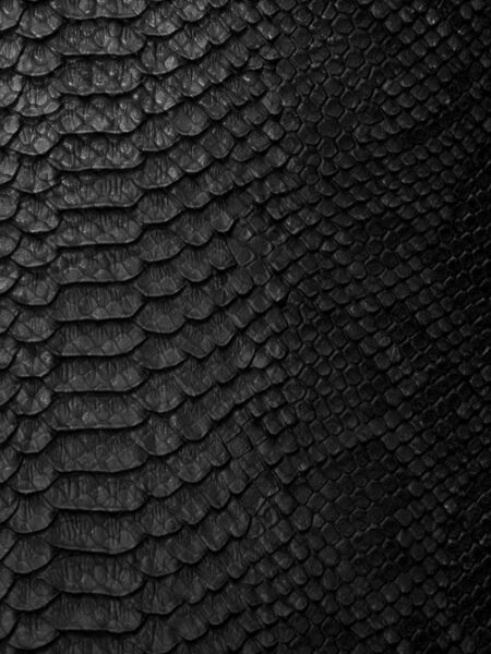 Snake,Skin,Background.,Close,Up.